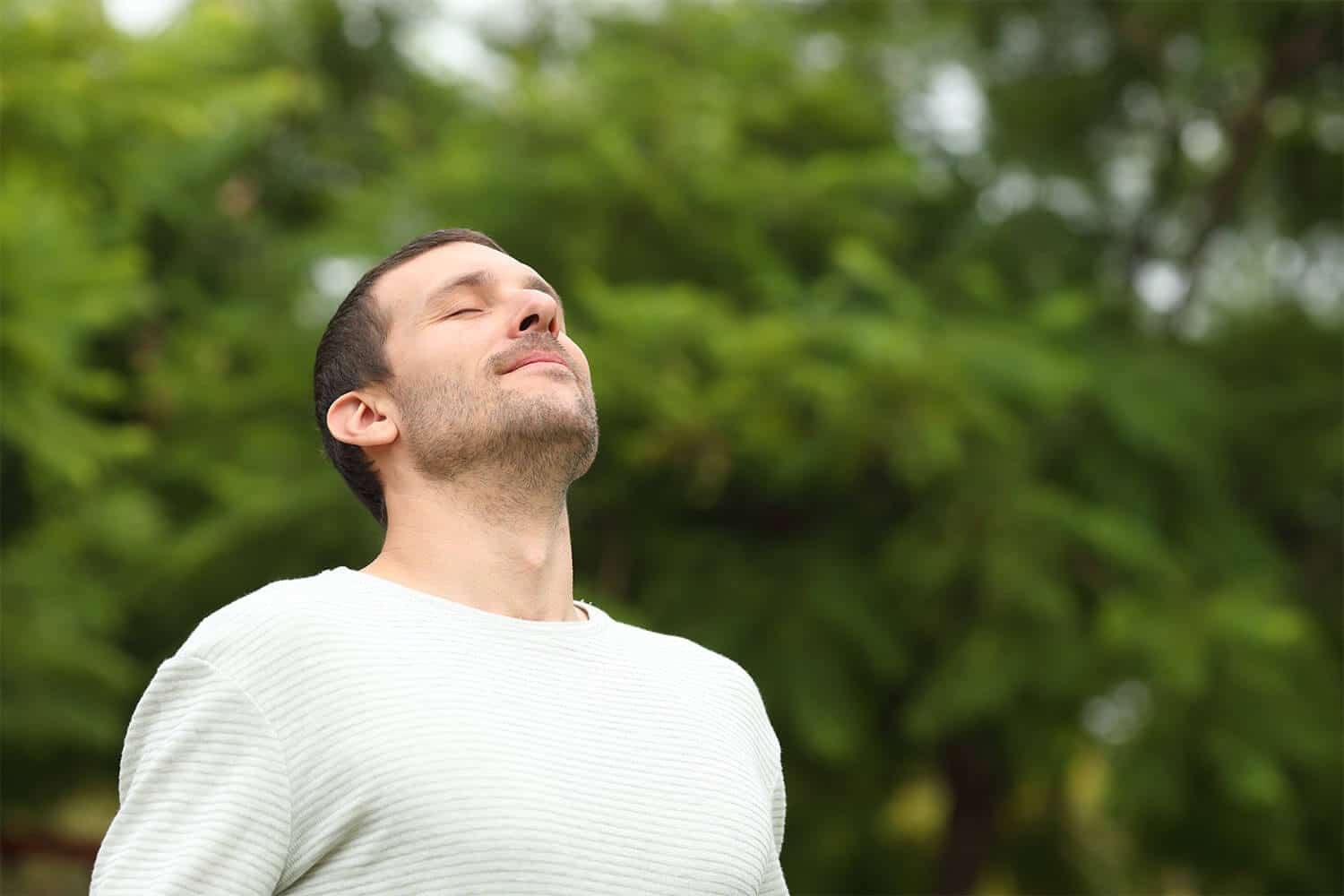 curso de mindfulness oficial